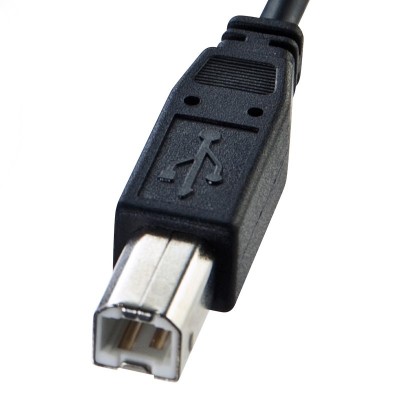 山业(SANWA SUPPLY) 2米 双面USB连接线 KU-R2(根)