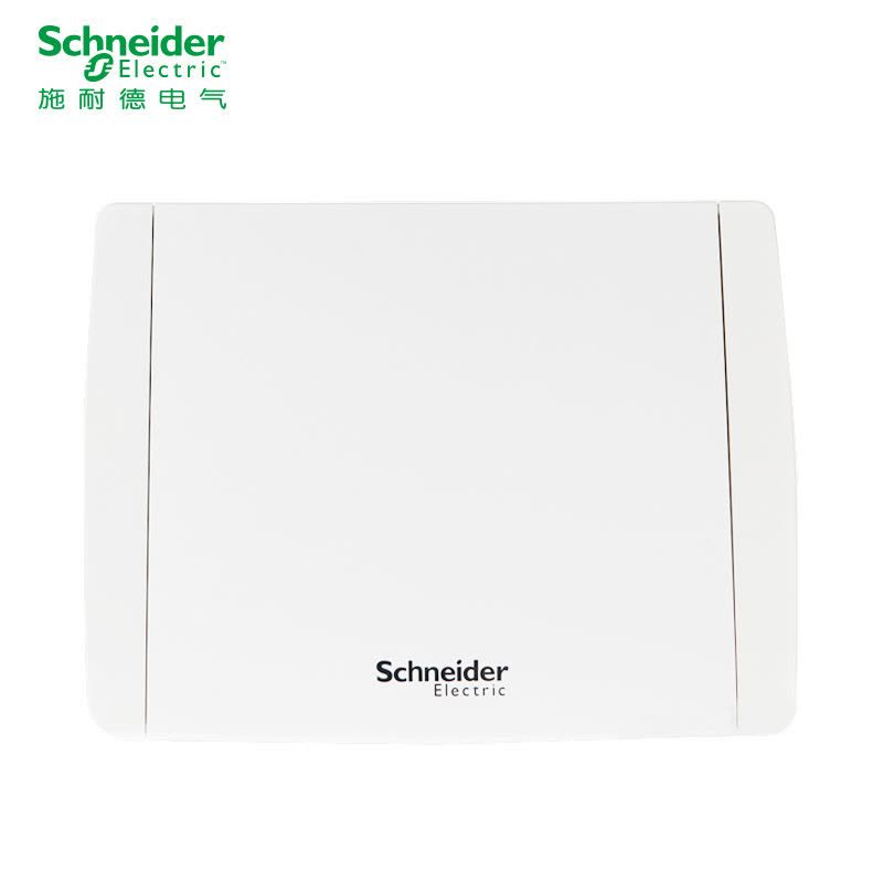 施耐德电气(Schneider Electric)强电布线箱 强电箱 天翼系列12回路暗装配电箱图片