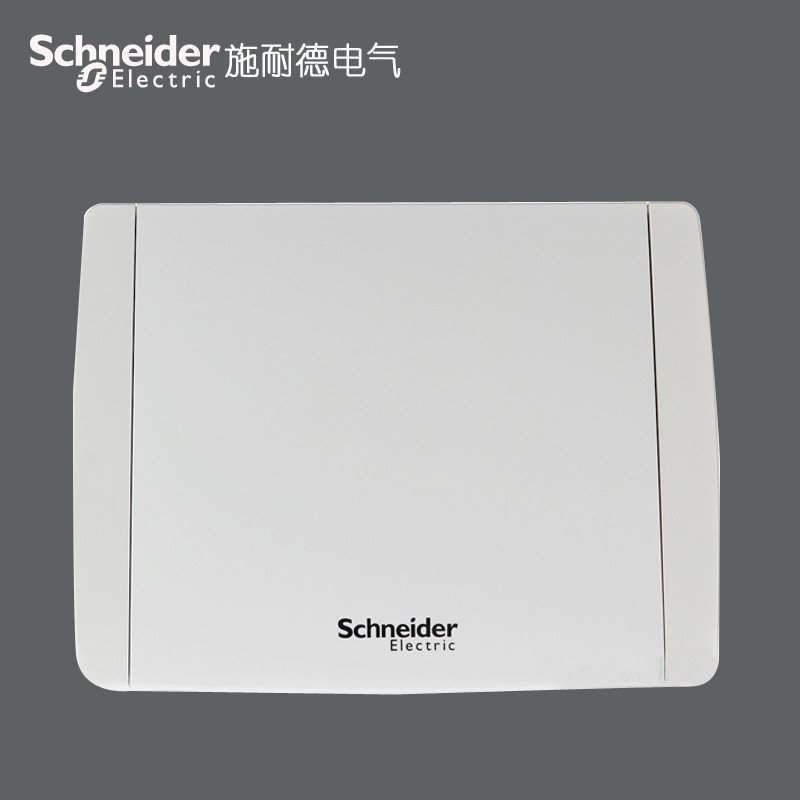 施耐德电气(Schneider Electric)强电布线箱 强电箱 天翼系列12回路暗装配电箱
