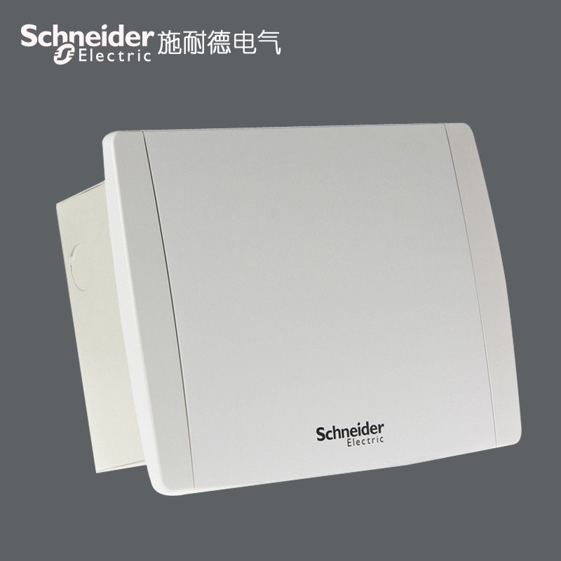 施耐德电气(Schneider Electric)强电布线箱 强电箱 天翼系列12回路暗装配电箱