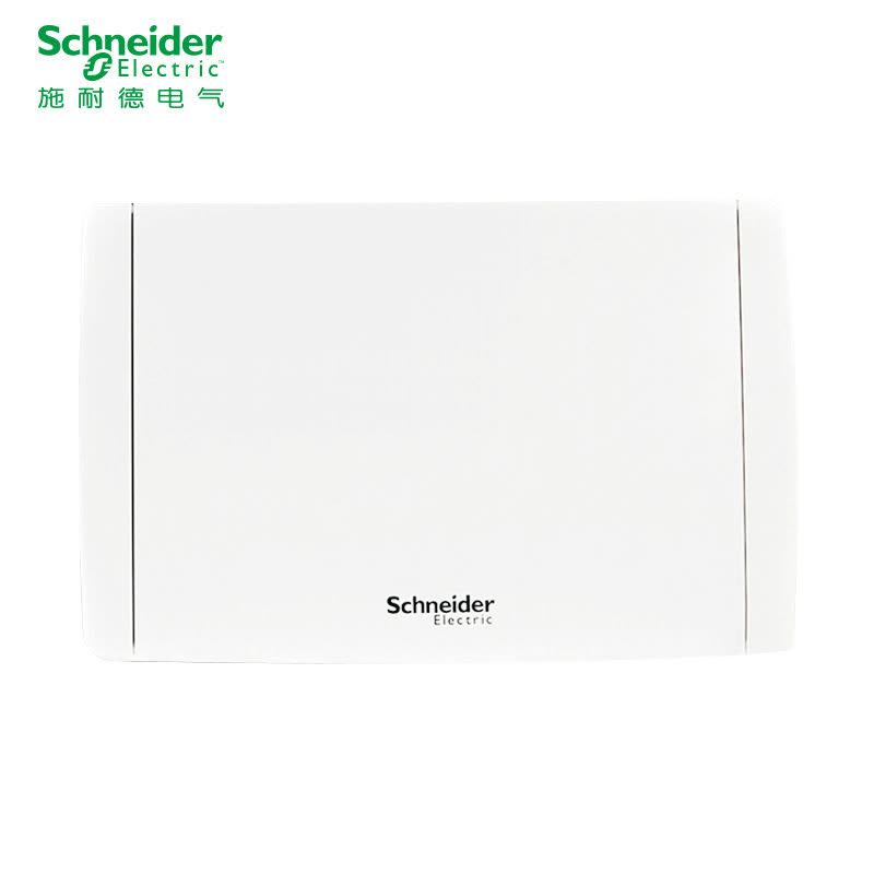 施耐德电气(Schneider Electric)强电布线箱 强电箱 天翼系列16回路暗装配电箱图片