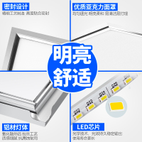 雷士照明（NVC）LED集成吊顶照明模块面板灯平板灯浴室厨卫灯超薄300*300MM（10W-10W以上）12W