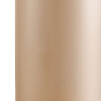 EKO(宜可)垃圾桶家用不锈钢脚踏时尚创意翻盖小号大号静音垃圾筒 9215 香槟金 12升