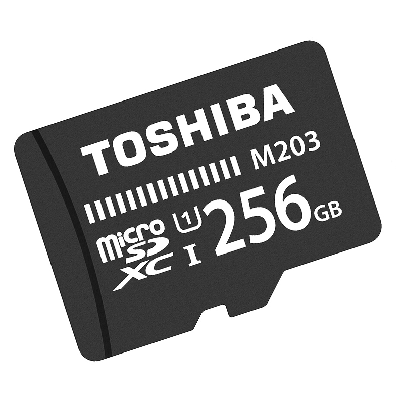 [赠读卡器/SD卡套]东芝(TOSHIBA)TF卡256GB 100MB/s手机存储卡