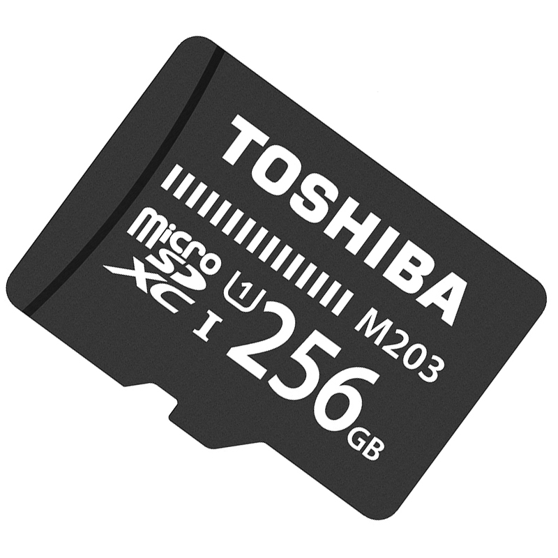 [赠读卡器/SD卡套]东芝(TOSHIBA)TF卡256GB 100MB/s手机存储卡