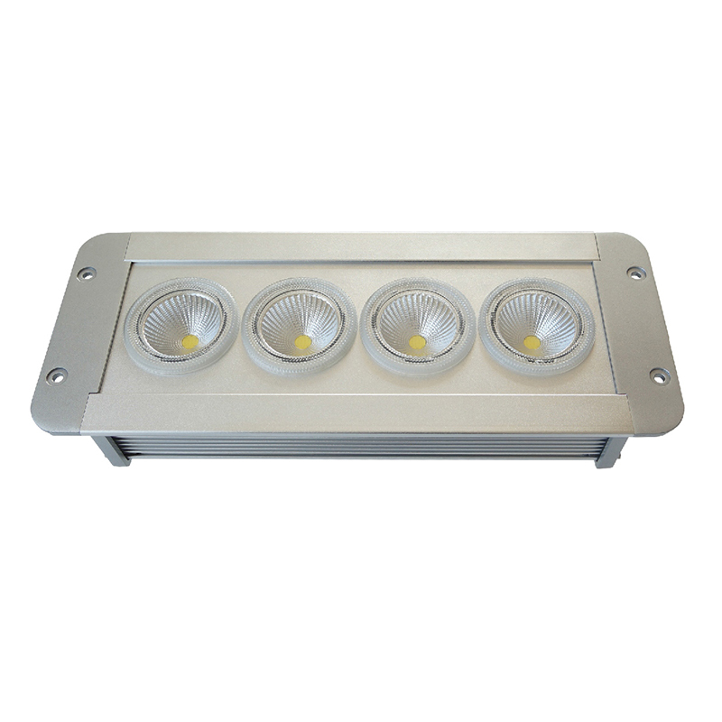 正辉 12w LED 应急低顶灯 NFE9191A-L12 (个)