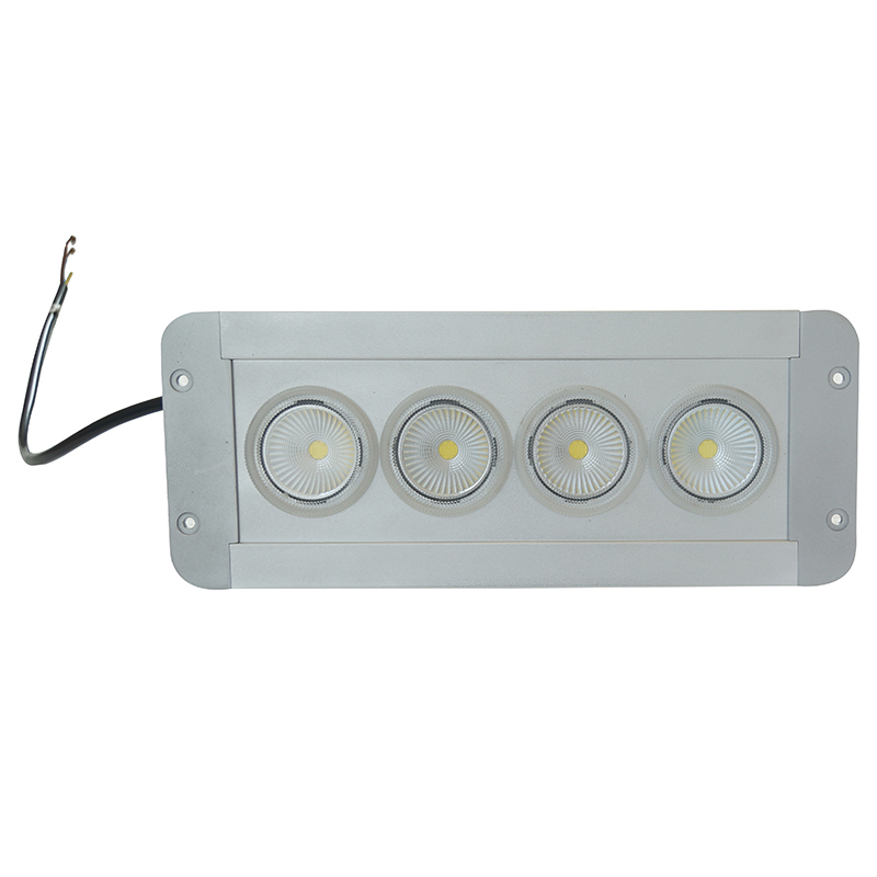 正辉 12w LED 应急低顶灯 NFE9191A-L12 (个)