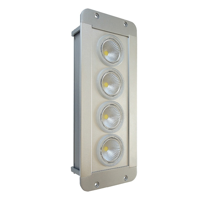 正辉 12w LED 应急低顶灯 NFE9191A-L12 (个)