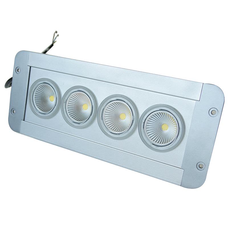 正辉 30w LED 应急低顶灯 NFE9191A-L30 (个)图片