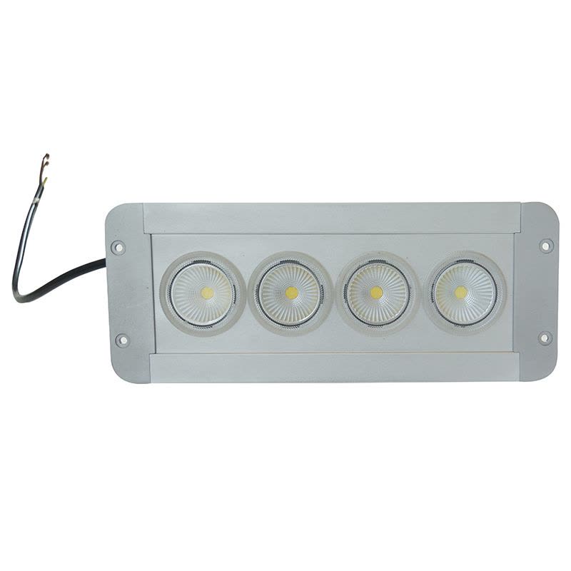 正辉 30w LED 应急低顶灯 NFE9191A-L30 (个)图片