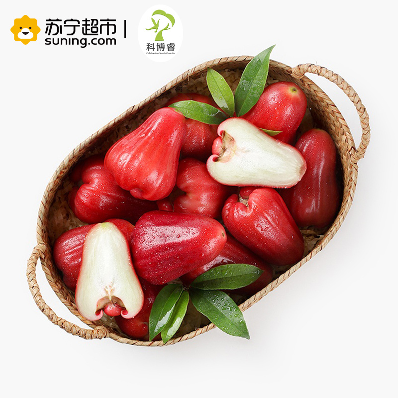 [苏宁超市]好运莲莲--科博睿台湾蜜风铃莲雾15-30粒3kg