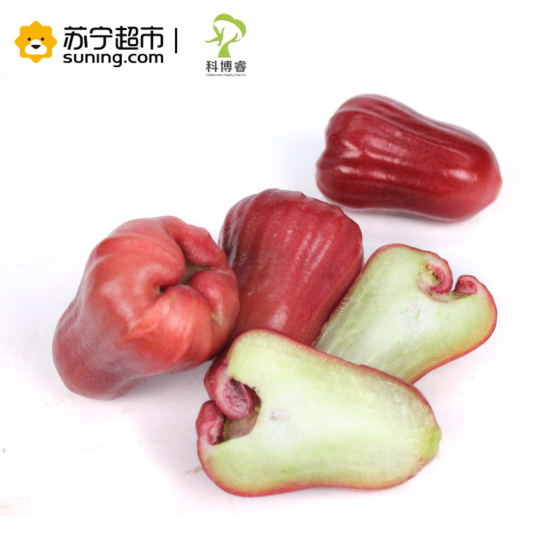 [苏宁超市]好运莲莲--科博睿台湾蜜风铃莲雾15-30粒3kg