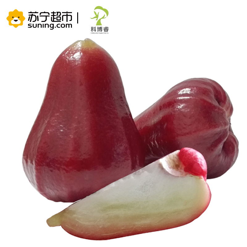 [苏宁超市]好运莲莲--科博睿台湾蜜风铃莲雾15-30粒3kg