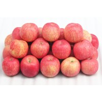 [苏宁小店]锡玉堂红富士