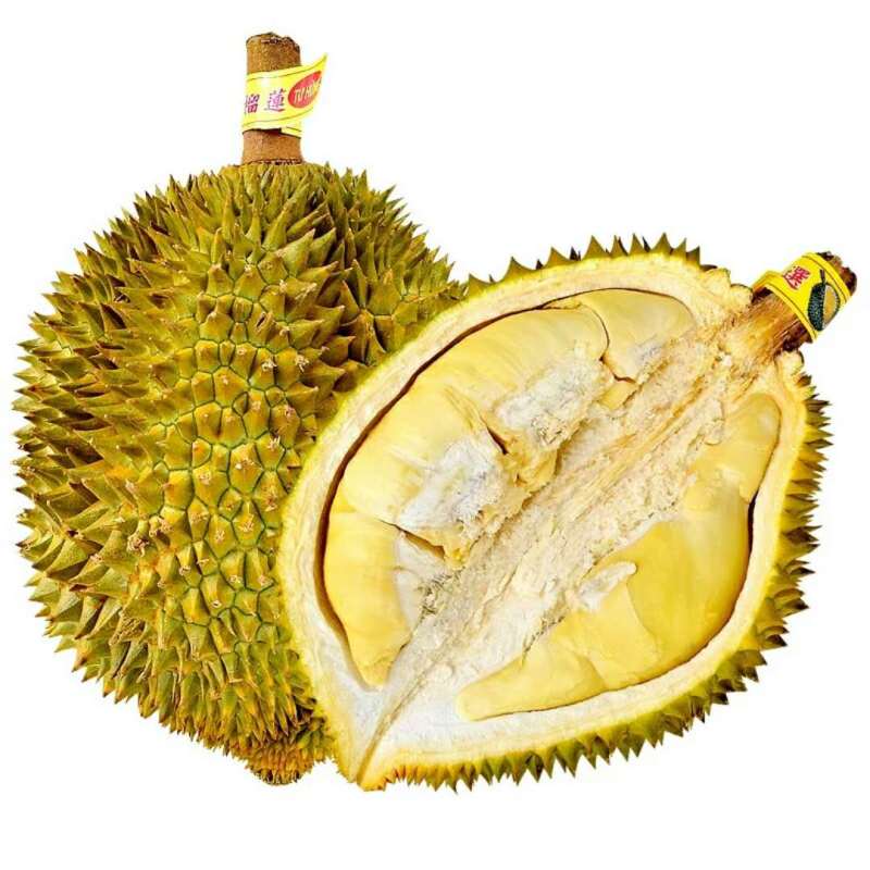 [苏宁小店]锡玉堂 泰国金枕头榴莲