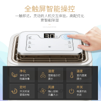 志高(CHIGO)除湿机ZG-D12A5 12L/天 智能触屏 定时 支持风速调节 直排两器 家用除湿干衣机白色