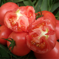 [苏宁小店]海林精选番茄 标准件