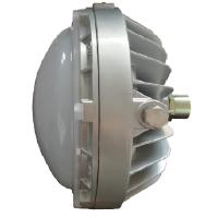 华荣防爆 LED 100W 固态照明 防爆灯 RLEEXL608 （个）