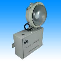 泰来 LED 9W*2 应急灯 TG727E (个)