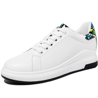 百年纪念 1612 女鞋