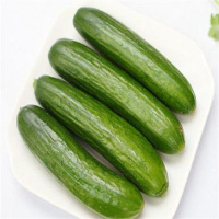 (傲绿)荷兰瓜 约350g/份