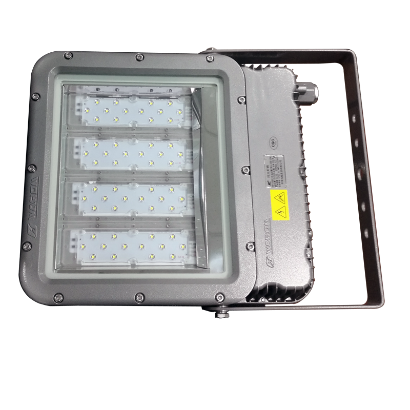 华荣防爆 200W LED 防水防尘投光灯 RLEFL319-XL200 (个)高清大图