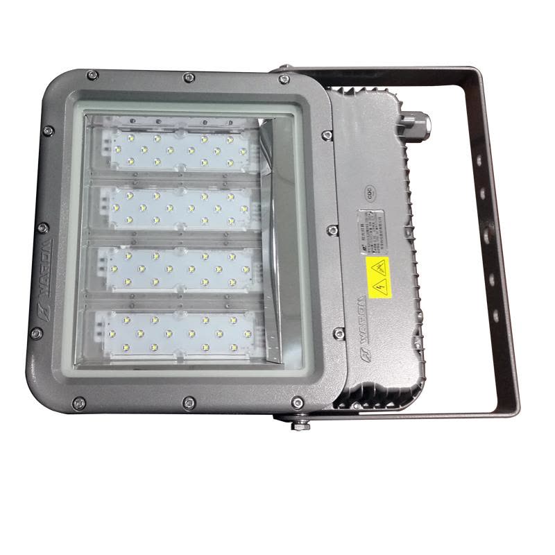 华荣防爆 200W LED 防水防尘投光灯 RLEFL319-XL200 (个)图片