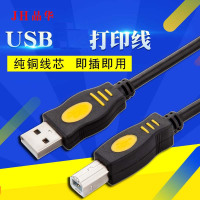 海康(晶华)打印线10米(1条)