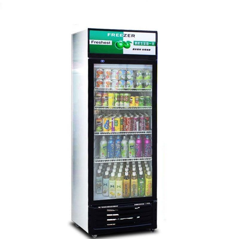 睿美 (ruime)商用饮料柜 展示柜冷藏冷饮柜冰箱冷柜 单门 黑绿色图片