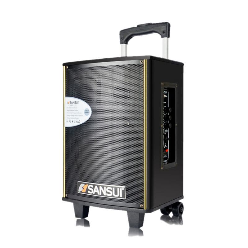 山水 (sansui)SA1-08 广场舞音响 8英寸户外 电瓶拉杆 移动手提蓝牙音箱图片