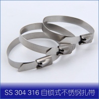 新兴XIXI 不锈钢 自锁式 固定扎带 304 1000mm*10mm(100个/包) (单位:包)