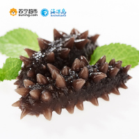 海洋岛大连野生海参辽参即食海参礼盒冷冻7-8头400g辽刺参6-8年参