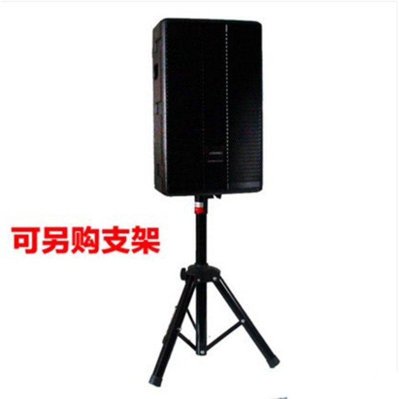 Sansui/山水 SP121会议专业音箱