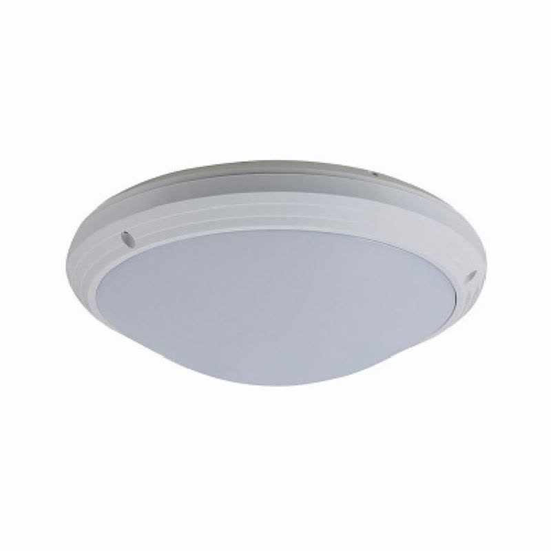 顶火 光明顶系列 24W LED 防水防尘 吸顶灯 GMD9301 (单位:个)图片