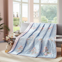 罗莱家纺 清逸被 空调被子 双人被芯 夏凉被WA5102浪漫花都