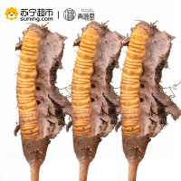 青源堂 冬虫夏草 0.7克/条 5条装 3.5克 新鲜冬虫夏草青海玉树高海拔雪山虫草正品 可泡酒泡水
