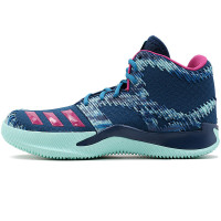 BW0950 阿迪男篮球鞋