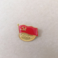胸章党徽磁铁团员徽章胸牌展示牌 胸针款 50个装