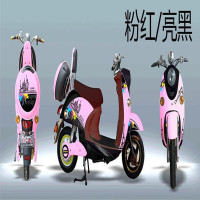 安尔达 电瓶车48V20AH 小小龟王