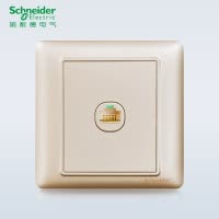 施耐德电气（Schneider Electric） 开关插座面板 睿意系列香槟金 单联电脑