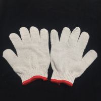 三顺 600g 普通棉纱手套 (单位:双)