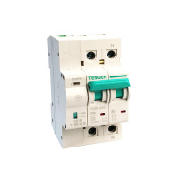 天正 开关 TGBD-80R 2P 63A (单位:只)