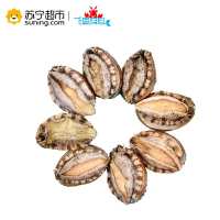 [苏宁生鲜][活鲜]大连鲍鱼 500g 10-13头 火锅食材 海鲜水产 顺丰冷链空运