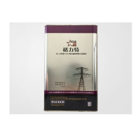 大吕(Dylan) RTV2纳米加强型防污闪涂料 DL-200 (单位:桶)