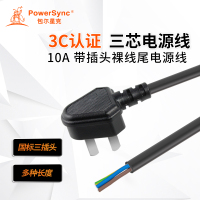 10A国标认证带插头电源线 黑色 三芯电源线 5米