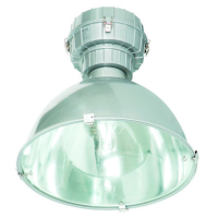 华荣防爆 防水防尘灯 固定式LED灯具 GC002-L250 (单位:个)