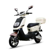 PALLA新大洲π铅酸版6020不可折叠电动车 电池单人电动自行车脚踏车续航80KM