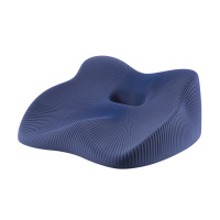 空气美姿调整垫(靛蓝色)Style Air (Blue)