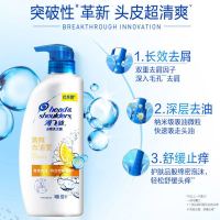 海飞丝洗发水清爽去油750ml（持久去屑止痒清爽控油）
