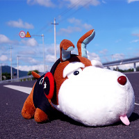 华饰 汽车竹炭包 汽车除味剂套装 活性炭竹炭包新车车内除甲醛